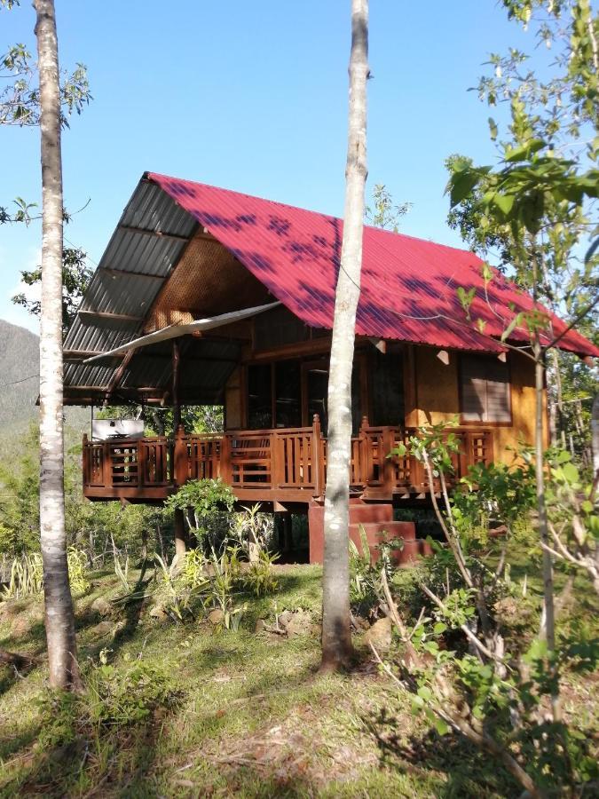 Villa Nagtabon Puerto Princesa Kültér fotó