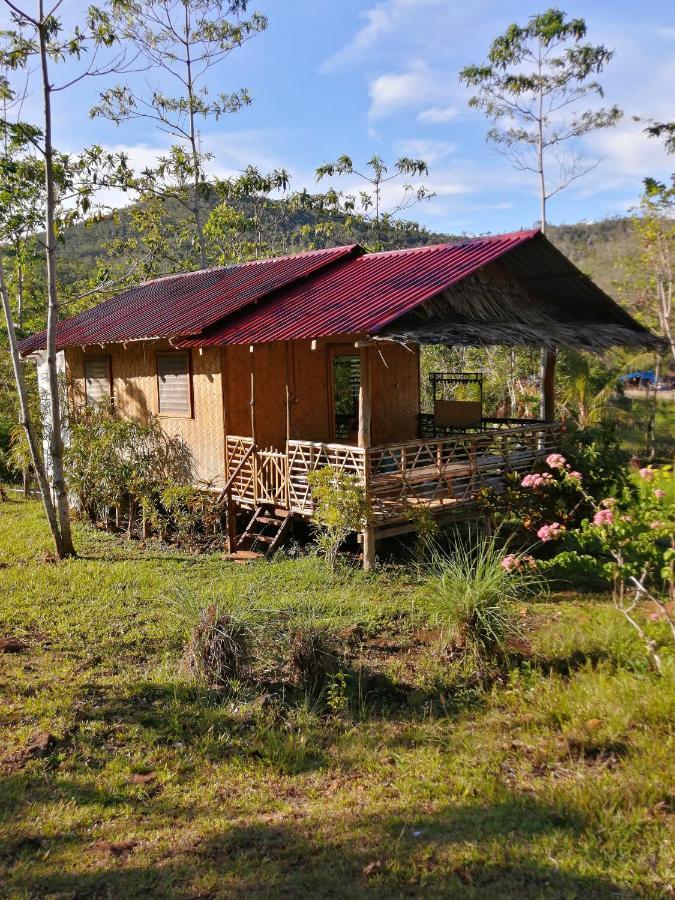 Villa Nagtabon Puerto Princesa Kültér fotó